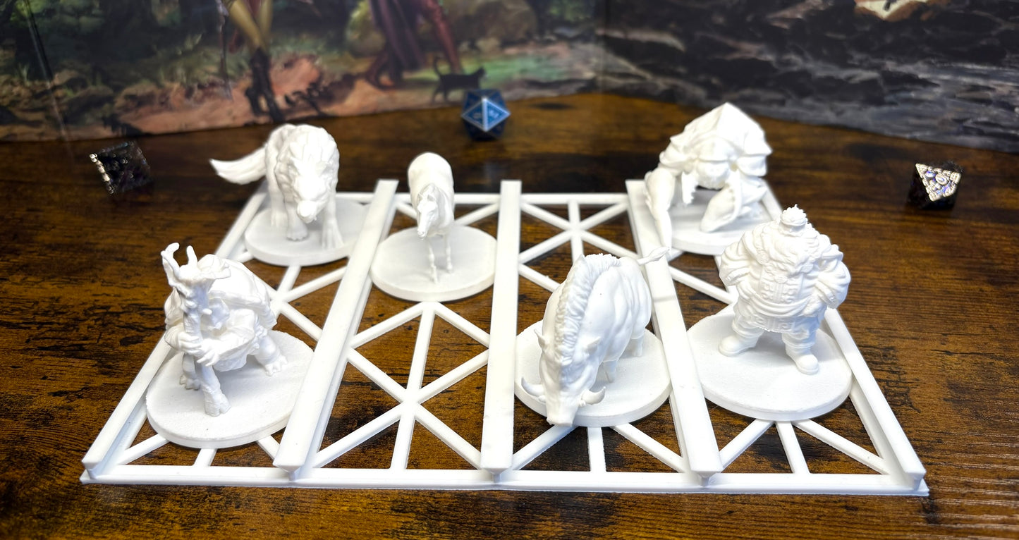 50mm Miniature Organizer - Tabletop Miniature Storage