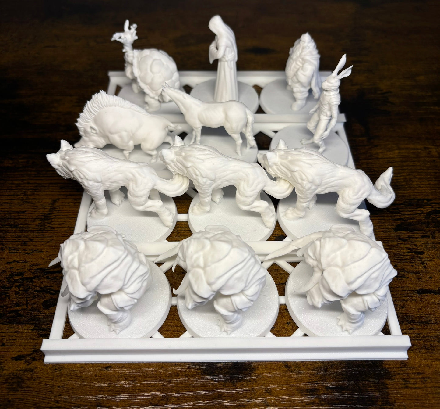 50mm Miniature Organizer - Tabletop Miniature Storage
